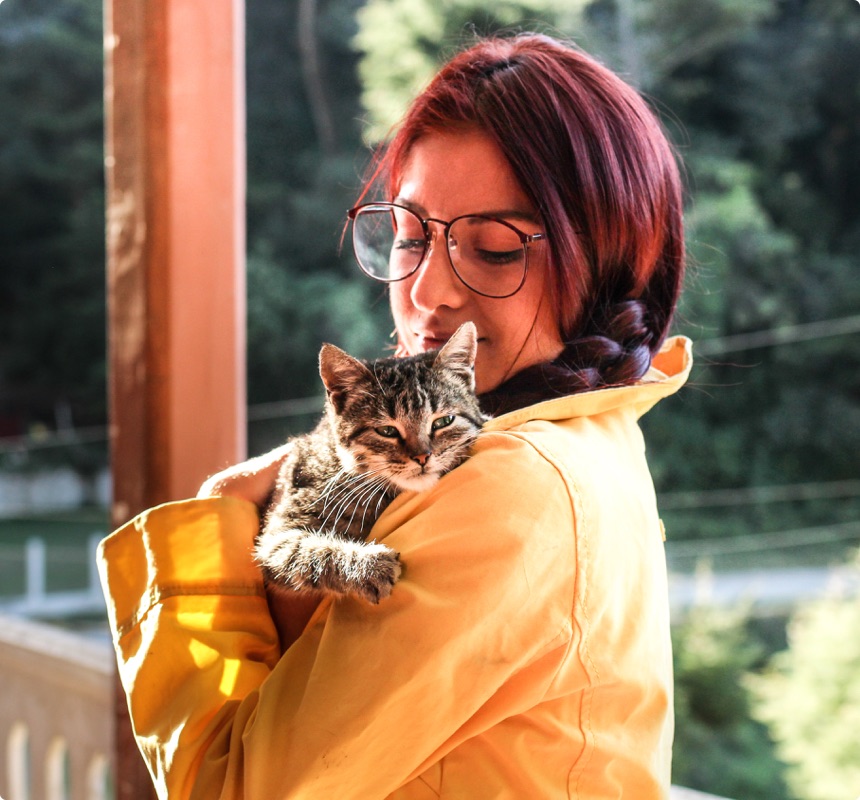 For Trusted Kiwi House Sitters Choose The Housesitting Company